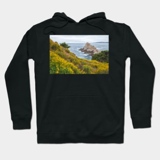 Sunflowers on Slope Hoodie